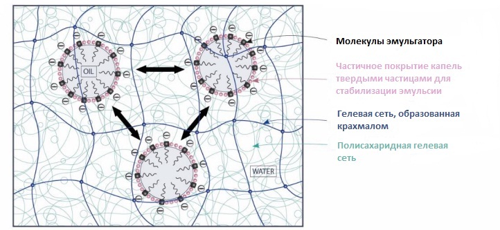 Структура геля-эмульсии