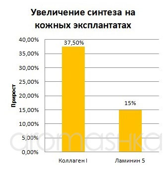 Прирост синтеза на кератиноцитах человека