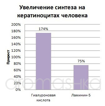 Прирост синтеза на кожных эксплантатах